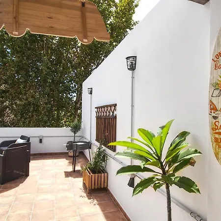 Barcelo 21: Centrally Located Attic With Terrace And Retreat Malaga